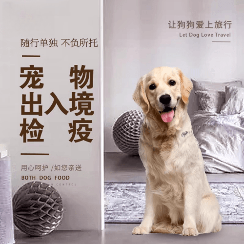 许昌市宠物托运到哥伦比亚猫狗宠物入境规定和