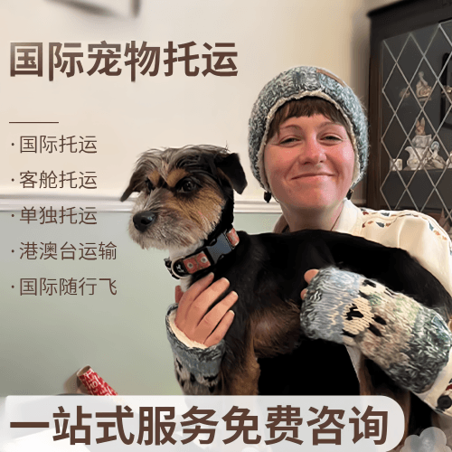 许昌市国际宠物托运到阿根廷宠物入境规定和要