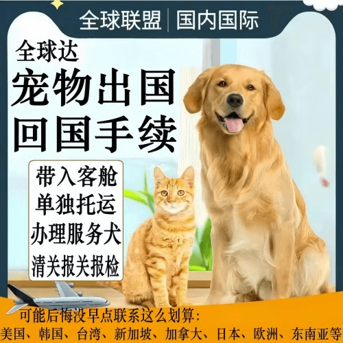许昌市宠物托运到柬埔寨宠物入境规定和要求