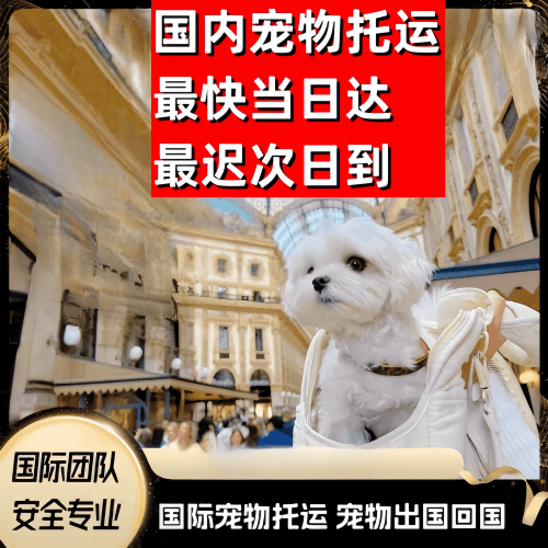许昌市到澳大利亚（澳洲）宠物入境规定和要求